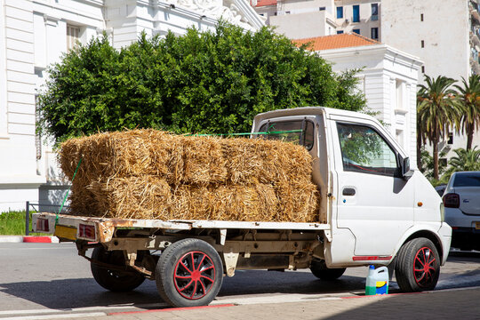 Truck transports hay for cattle