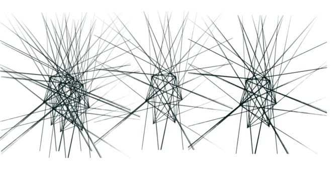 branches of a willow