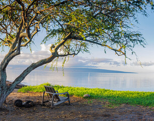 Small Wooden Chair Beneath a Large Kiawe Tree With Lanai Island Across The Kalohi Channel, Molokai, Hawaii, USA