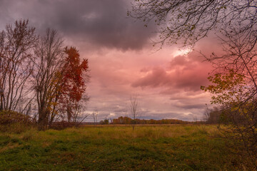 Colorful fall leaves Ottawa Autumn