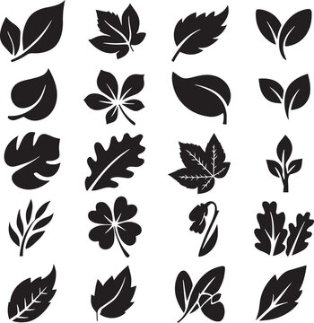 Collection of Black Silhouette Leaf Icons and Symbols on White Background leaves