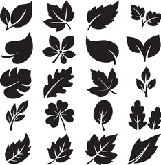 Diverse Black Silhouette Leaf Icons and Symbols on White Background leaves