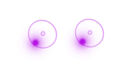 purple easter eggs on white background