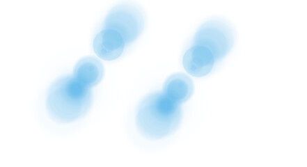 cotton swabs isolated on white