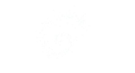 black and white paint