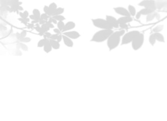 Fototapeta premium Vibrant Leaf and Branch Shadow Overlay