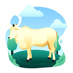 COW ANIMAL QURBAN VECTOR ILLUSTRATION 4