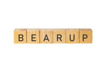 Wooden letter tiles spell bear up isolated on transparent background