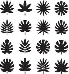 Collection of Black Tropical Leaf Silhouettes plant 1