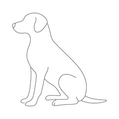 dog on a white background
