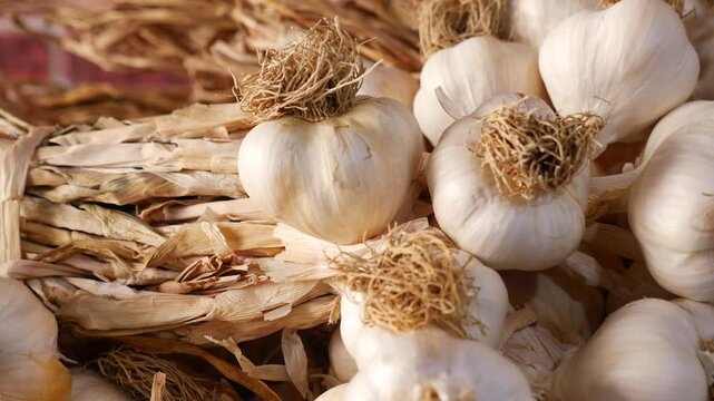 Discovering the beauty of fresh garlic in a market