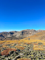 Frolicking in the high alpine meadow in the colorado mountains. Yellow grass, grey mountains, and bright blue sky. Person running through the field off in the distance. 
