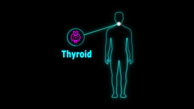 Animation of Neon Human body about Thyroid, healthcare and medical science animation, presentation concept seamless looping animation 4K with copy space man icon