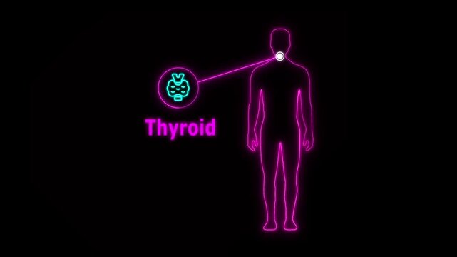 Animation of Neon Human body about Thyroid, healthcare and medical science animation, presentation concept seamless looping animation 4K with copy space man icon