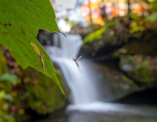 Two insects near a vibrant green leaf and a blurred waterfall