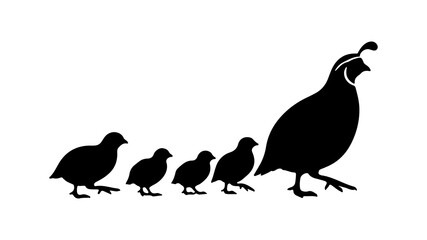 Quail family with transparent background