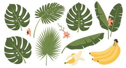 An illustrative set featuring various green tropical leaves, delicate pink flowers, and ripe yellow bananas, evoking a jungle ambiance.