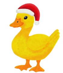 Yellow duck with santa hat