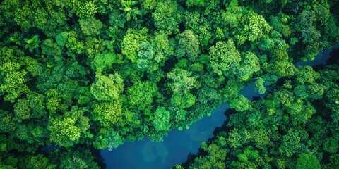 Naklejka premium A vibrant green forest with a winding river, surrounded by dense trees and a clear blue sky.