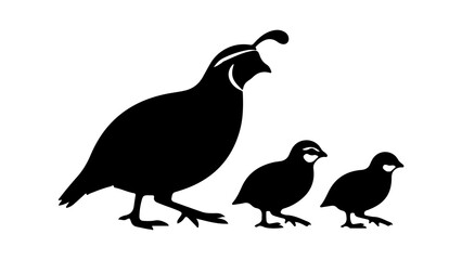Fototapeta premium Quail family silhouette with transparent background