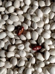 background image of white bean seeds with red accent close-up