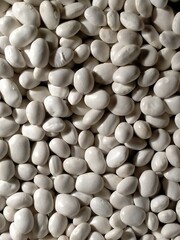 white beans background