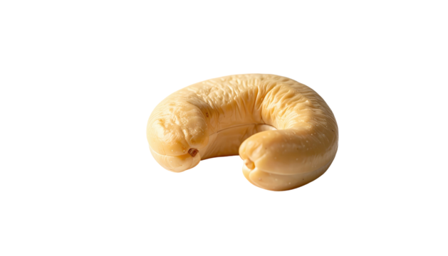 A single cashew nut, isolated on black, shows a pale tan, kidney bean shape, illuminated with soft, directional light