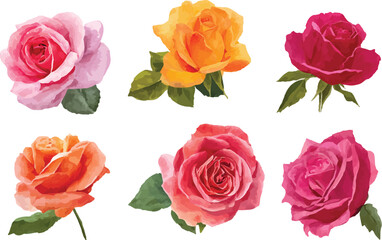 Obraz premium set of roses vector illustration