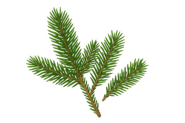 Fir tree branch with green needles, symbolising nature, winter, and christmas, isolated on transparent background