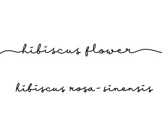 Elegant Handwritten Font Displaying Hibiscus Flower Name