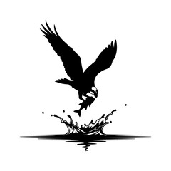 Osprey diving for fish with transparent background