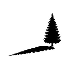 Evergreen tree silhouette with transparent background