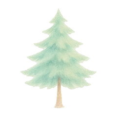 Fototapeta premium PNG Watercolor evergreen tree illustration.