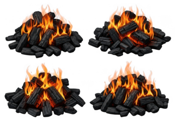 Burning charcoal fire flames heat barbecue grill coal set