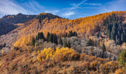 Kazachstan landcapes, traktor made in USSR, autumn colors.