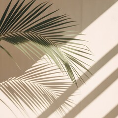 Minimalist palm leaf shadow background aesthetic vector illustration