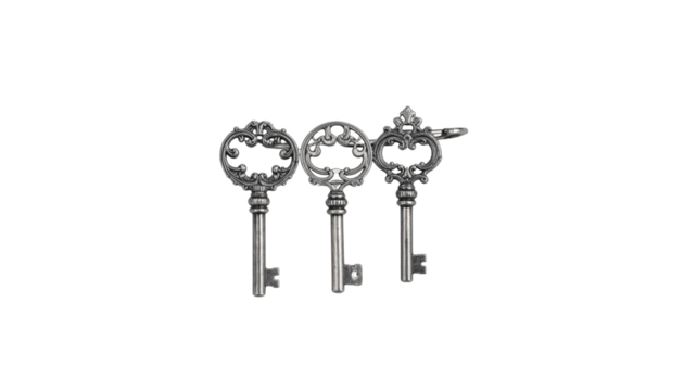 Old key chain on a ring, isolated on a white background