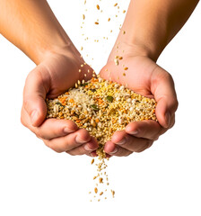 Farmer's hands holding a variety of mixed grains and seeds isolated on transparent background