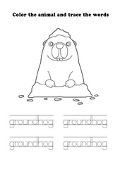 Learning Worksheet Groundhog Coloring Tracing