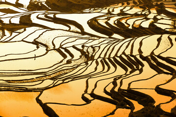 Aerial view of Yuanyang Rice Terraces at sunrise.