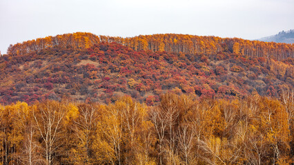 Obraz premium Kazachstan landcapes, traktor made in USSR, autumn colors.