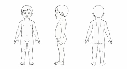 Child Anatomy Illustration - Front, Side, and Back Views.