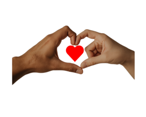 Two hands forming a heart shape with a red heart isolated on transparent background
