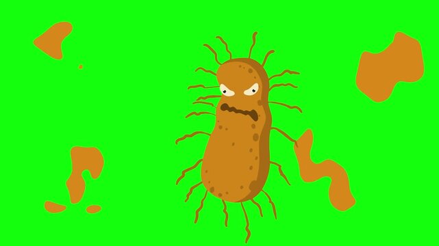 template virus bacterial cromakey animation	
