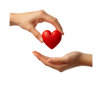 Hands exchanging a red heart isolated on transparent background