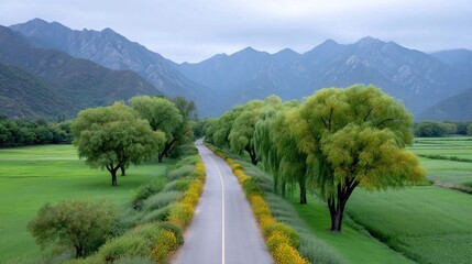 Scenic Aerial View of a Winding Asphalt Road Through Lush Green Fields Lined with Mature Trees and Yellow Wildflowers Leading Towards Distant Misty Mountains Under a Cloudy Sky