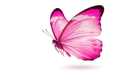 Stunning pink butterfly in flight, symbolizing transformation, beauty, and delicate elegance for your creative projects