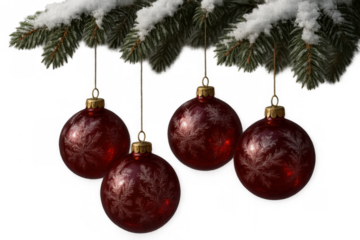Red christmas ornament balls hanging from a snowy pine branch, celebrating winter holidays, transparent background