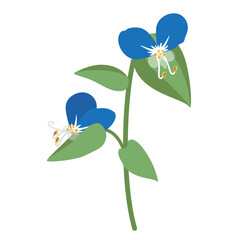 かわいいツユクサのイラスト