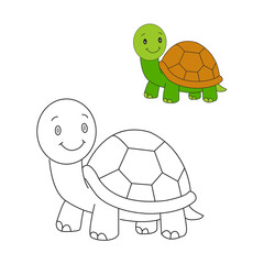 Tortoise coloring art illustration